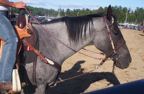 Blue Roan